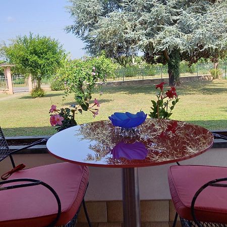 B & B Cedro Argentato Legnago Exteriér fotografie