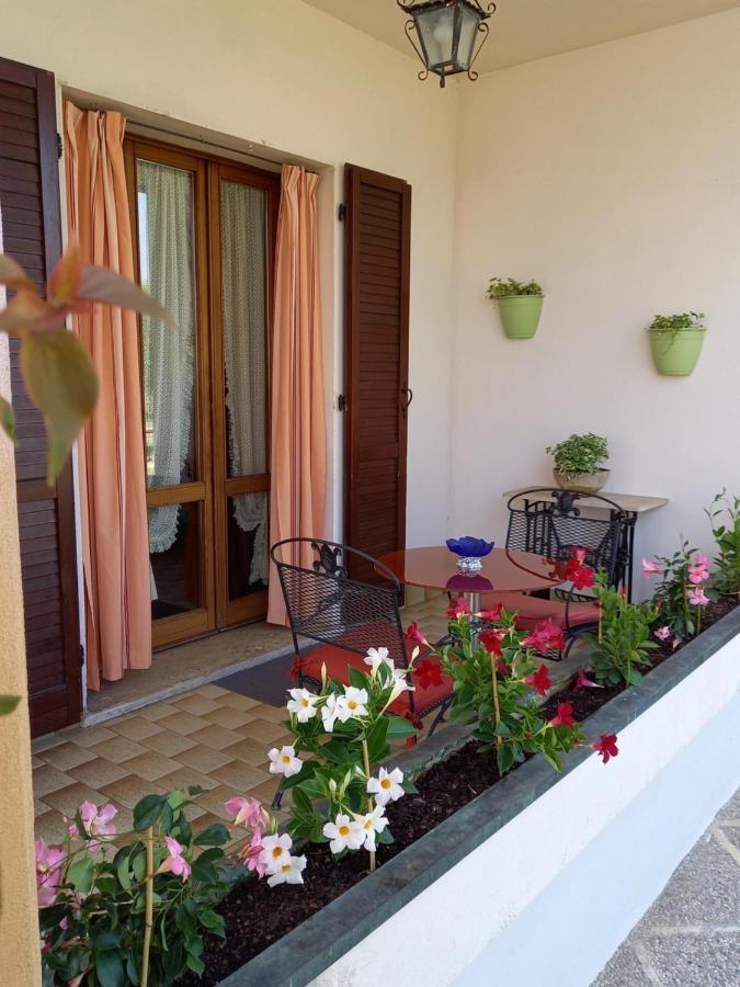 B & B Cedro Argentato Legnago Exteriér fotografie