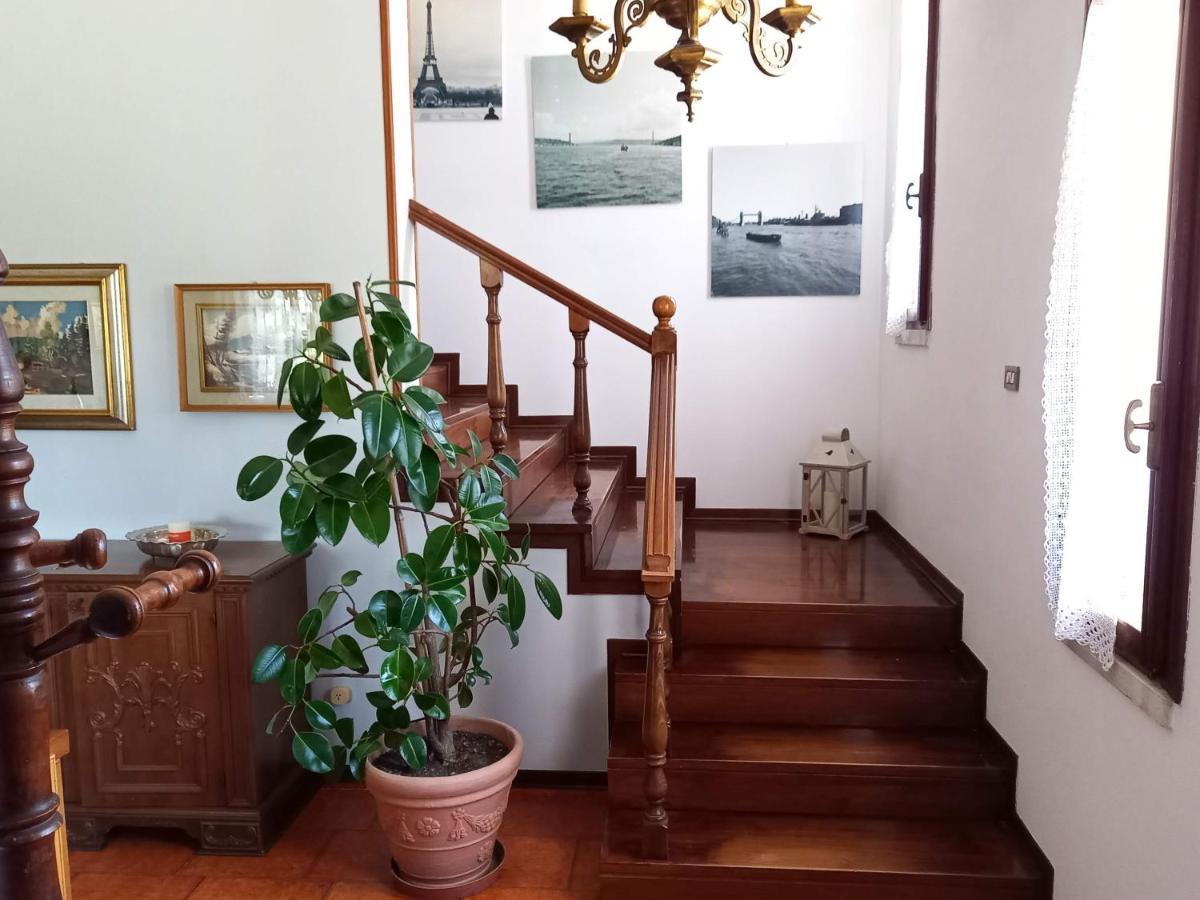 B & B Cedro Argentato Legnago Exteriér fotografie